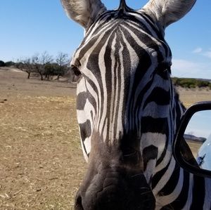 Meet your Posher, Terri